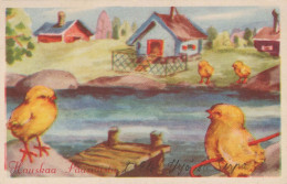 EASTER CHICKEN EGG Vintage Postcard CPA #PKE374.GB - Ostern