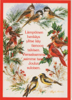 UCCELLO Animale Vintage Cartolina CPSM #PAM816.IT - Birds