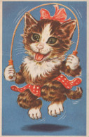 CHAT CHAT Animaux Vintage Carte Postale CPA #PKE748.FR - Chats