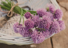 FLEURS Vintage Carte Postale CPSM #PBZ212.FR - Fleurs