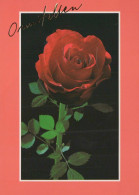 FLORES Vintage Tarjeta Postal CPSM #PAS284.ES - Blumen