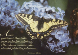 FARFALLA Animale Vintage Cartolina CPSM #PBS421.IT - Butterflies