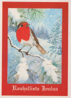 UCCELLO Animale Vintage Cartolina CPSM #PBR381.IT - Oiseaux