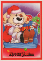 CANE Animale Vintage Cartolina CPSM #PBQ593.IT - Dogs