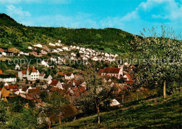 73865916 Eichenbuehl  Unterfranken Panorama Baumbluete  - Other & Unclassified