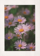 FLOWERS Vintage Ansichtskarte Postkarte CPSM #PAR685.DE - Flowers