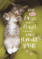 KATZE MIEZEKATZE Tier Vintage Ansichtskarte Postkarte CPSM #PAM560.DE - Chats