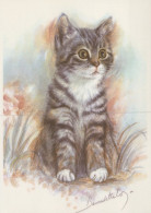 KATZE MIEZEKATZE Tier Vintage Ansichtskarte Postkarte CPSM #PAM186.DE - Katzen