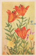 FLORES Vintage Tarjeta Postal CPA #PKE687.ES - Fleurs