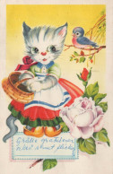 GATO GATITO Animales Vintage Tarjeta Postal CPA #PKE747.ES - Chats