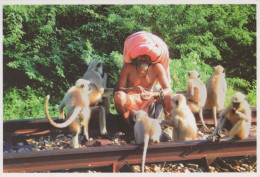 MONO Animales Vintage Tarjeta Postal CPSM #PBR968.ES - Monkeys