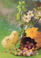 PASCUA POLLO HUEVO Vintage Tarjeta Postal CPSM #PBP240.ES - Easter