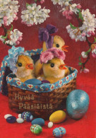 PASCUA POLLO HUEVO Vintage Tarjeta Postal CPSM #PBO615.ES - Pâques