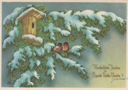 Feliz Año Navidad PÁJARO Vintage Tarjeta Postal CPSM #PBM735.ES - Anno Nuovo