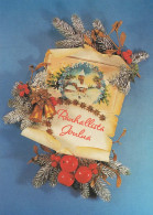 Feliz Año Navidad Vintage Tarjeta Postal CPSM #PAY382.ES - Neujahr
