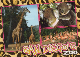 GIRAFFE Tier Vintage Ansichtskarte Postkarte CPSM #PBS945.DE - Giraffes