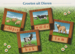 KUH Tier Vintage Ansichtskarte Postkarte CPSM #PBR818.DE - Vaches