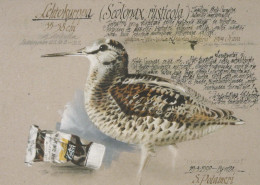 VOGEL Tier Vintage Ansichtskarte Postkarte CPSM #PBR694.DE - Oiseaux