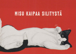 KATZE MIEZEKATZE Tier Vintage Ansichtskarte Postkarte CPSM #PBQ974.DE - Katzen