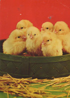 OSTERN HUHN EI Vintage Ansichtskarte Postkarte CPSM #PBO867.DE - Easter