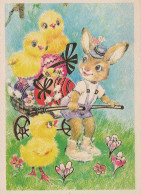 OSTERN KANINCHEN Vintage Ansichtskarte Postkarte CPSM #PBO428.DE - Easter