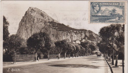 CPA -GIBRALTAR-ROCK,NORTH WEST FACE-ARBRES-VOITURES ANCIENNES, - Gibilterra