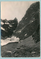 Face Sud Des Ecrins - Col Des Avalanches Et Le Fifre Vus Du Glacier Noir - Circulé 1955 - Other & Unclassified