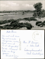 Postkaart .Niederlande Elsloo (Fr.) De Schapepoel 1960 - Other & Unclassified