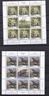 SERBIA 2024,EUROPA CEPT,Europa White Water-lily Flora Plants Pond Turtles Animals Fauna,SHEET,MNH - 2024