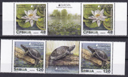 SERBIA 2024,EUROPA CEPT,Europa White Water-lily Flora Plants Pond Turtles Animals Fauna,WIGNETTE,MNH - 2024