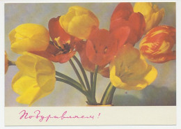 Postal Stationery Soviet Union 1969 Flower - Otros & Sin Clasificación