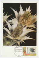 Maximum Card Netherlands 1988 Sea Holly - Bomen