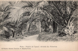 PORTO - Palacio De Cristal - Avenida Das Palmeiras (Ed. Alberto Ferreira - Nº 107) PORTUGAL - Porto