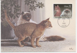 Maximum Card USA 1988 Himalayan Cat - Abyssinian Cat - Autres & Non Classés