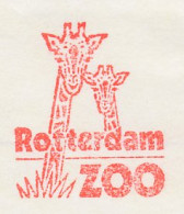 Meter Cut Netherlands 2000 Giraffe - Zoo Rotterdam - Sonstige & Ohne Zuordnung