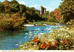 CPM- Ireland- Kilkenny Castle And River Nore * TBE*  Cf. Scans * - Autres & Non Classés