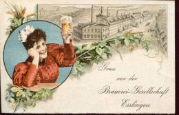 X0579 Germany 2 Pf Postcard Privat Stadtpost Stuttgart 1895 Gruss Von Der Brauerei Ges. Esslingen, Biere Bier Beer - Postwaardestukken