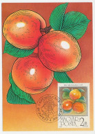 Maximum Card Hungary 1986 Apricot - Fruits