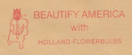 Meter Cut Netherlands 1974 Flower - Tulip - Flowerbulbs - Autres & Non Classés