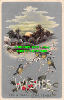 R466614 Wishes For A Happy Christmas. Birds. Davidson Bros. Pictorial Post Cards - Mundo