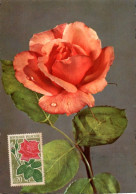 CARTE MAXIMUM 1962 ROSE - 1960-1969