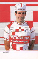 Velo - Cyclisme - Coureur Cycliste Pedro Munoz  - Team Fagor - 1985 - Radsport