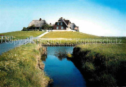 72687351 Hallig Hooge Westerwarft Hooge - Autres & Non Classés