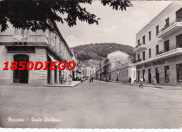 NICASTRO - VIALE STAZIONE F/GRANDE  VIAGGIATA 1954 ANIMATA - Catanzaro