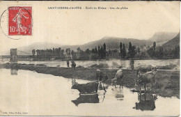 SAINT DIDIER D' AOSTE Bords Du Rhône. Lieu De Pêche - Sonstige & Ohne Zuordnung