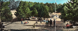 (16/05/24) 80-CPSM QUEND PLAGE LES PINS - CARTE LONGUE PANORAMIQUE - Quend