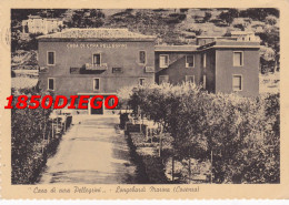 LONGOBARDI MARINA - CASA DI CURA PELLEGRINI  F/GRANDE  VIAGGIATA 1956 ANIMATA - Cosenza