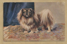 GB.- POST CARD. No. 6. PEKINGESE. - Dogs