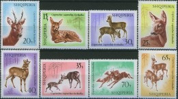 ALBANIA 1967, FAUNA, HINDS And DEERS, COMPLETE, MNH SERIES With GOOD QUALITY, *** - Albanië