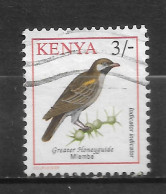 KENYA  N°  563  " OISEAUX " - Kenia (1963-...)